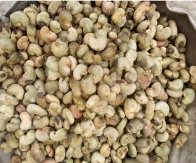 RAW CASHEW NUTS